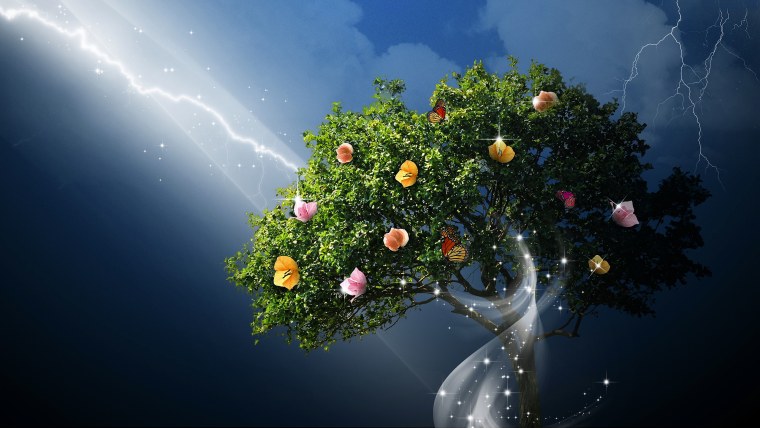 Магия деревьев