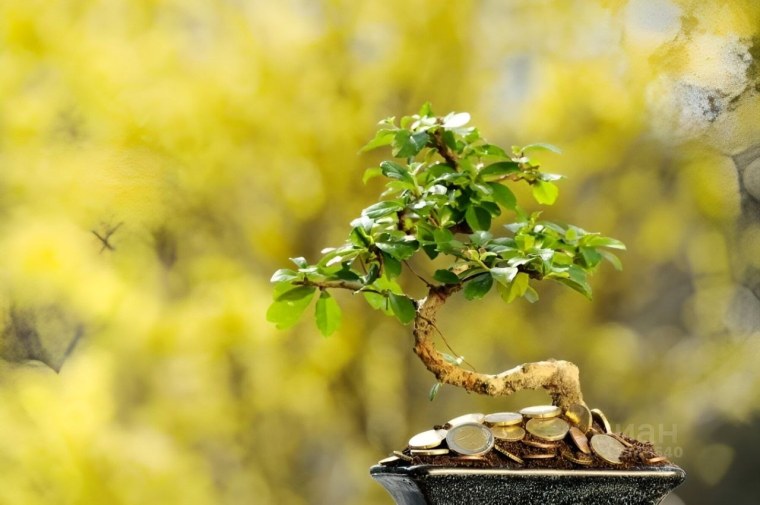 Достаток и благополучие