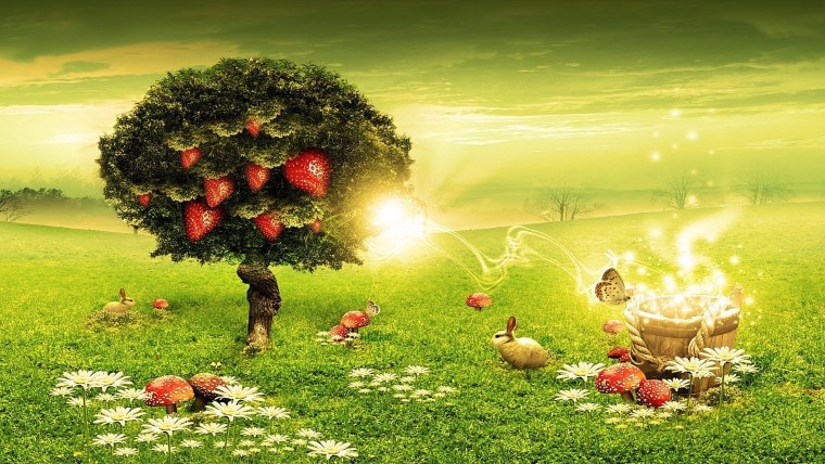 Волшебная Полянка