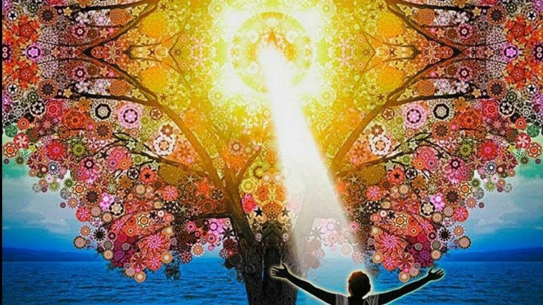 Изобилие и богатство