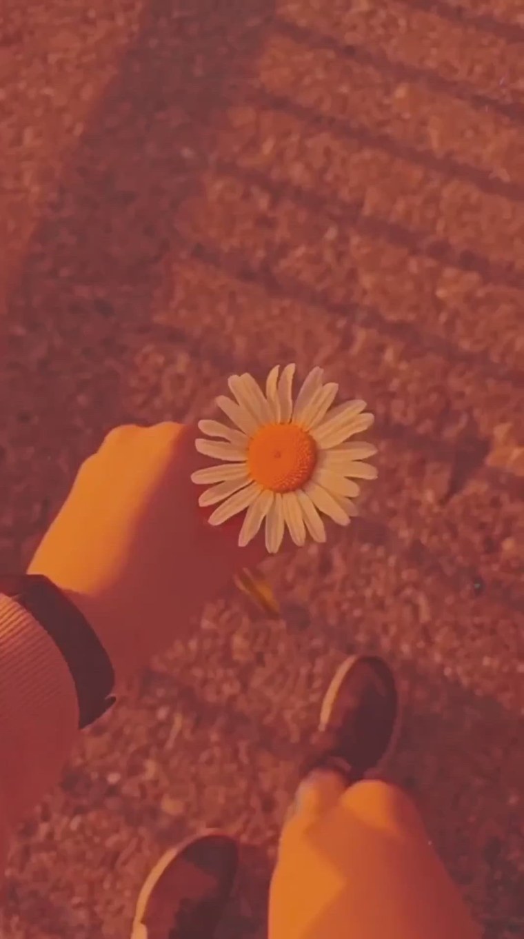 Эстетика из тик тока