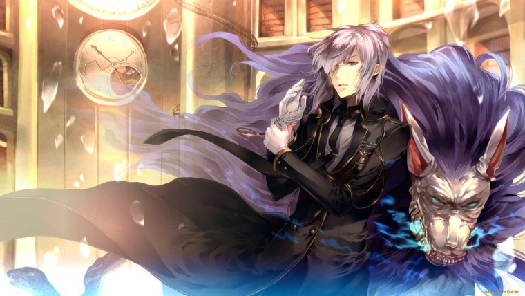 Чернокрылый Король аниме