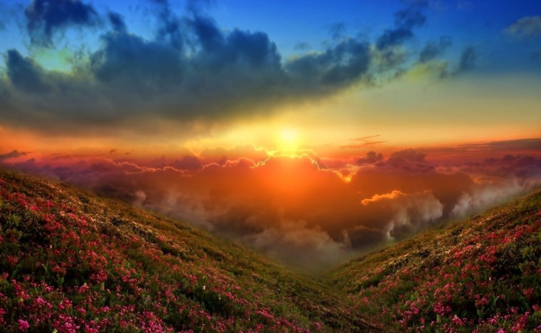 Природа рассвет