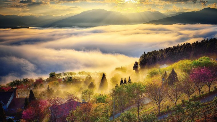 Рассвет в поле