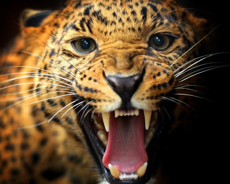 Обои на телефон на удачу необычные