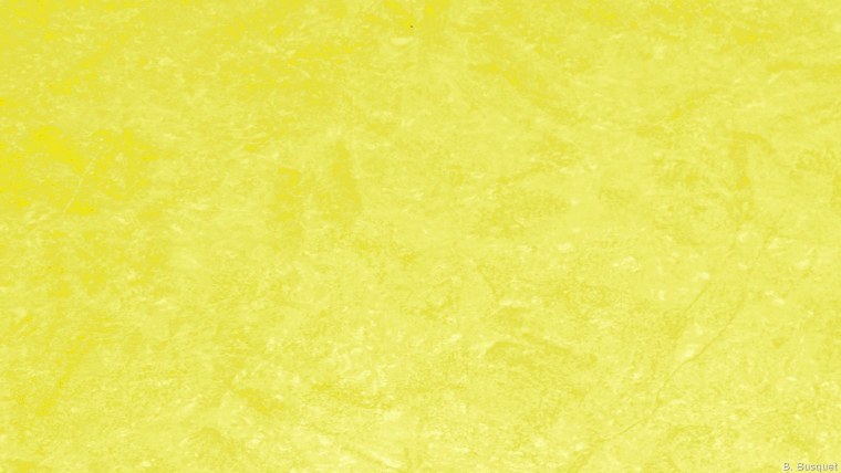 Светло желтый цвет