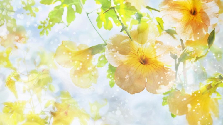 Весенний фон