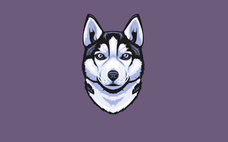 Чехол с собакой