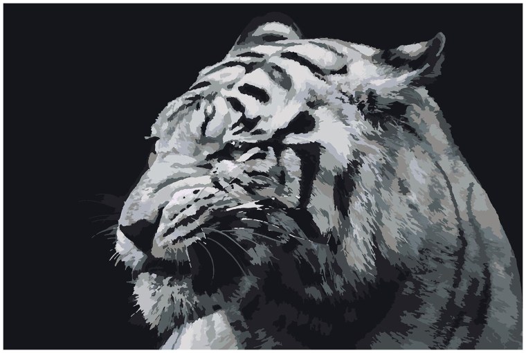 Белый тигр маленький