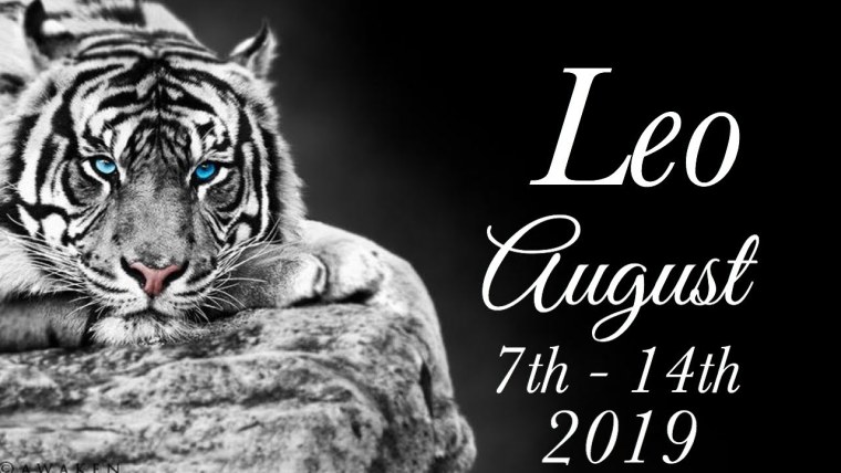 Тигр черно белый