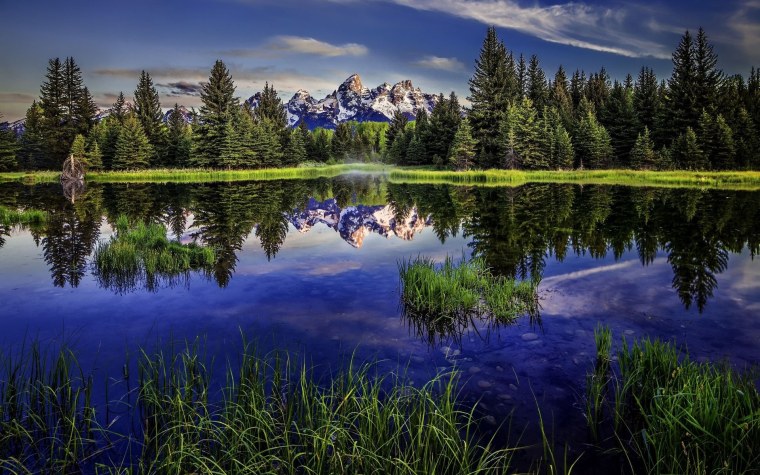 Шикарная природа