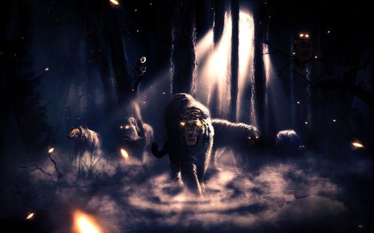 Хищники в лесу ночью