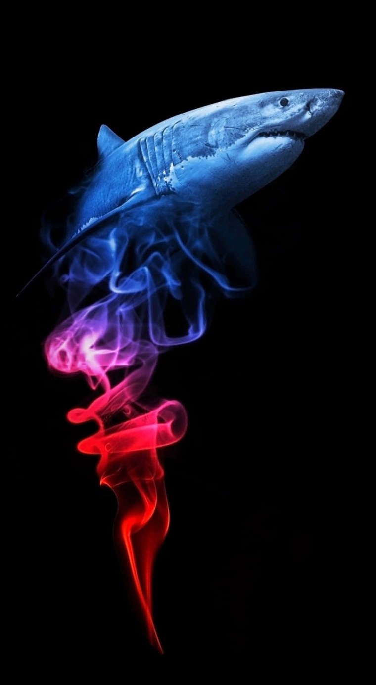 Акула на черном фоне