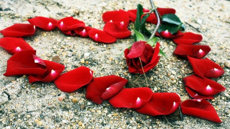 Маша я тебя люблю