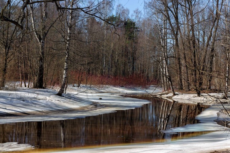 Художник Роман Романов пейзажи