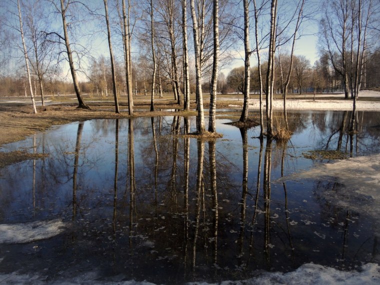 Весна тает снег живопись