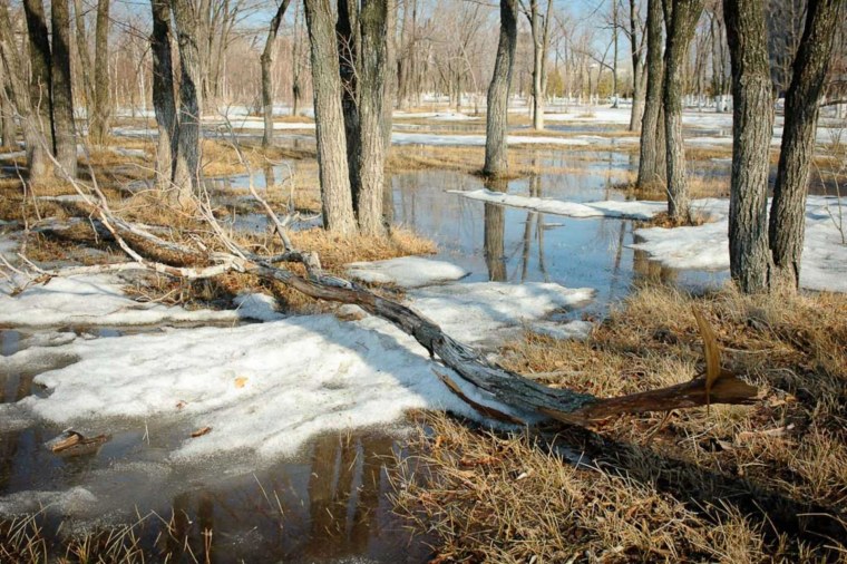 Весенние ручьи в городе