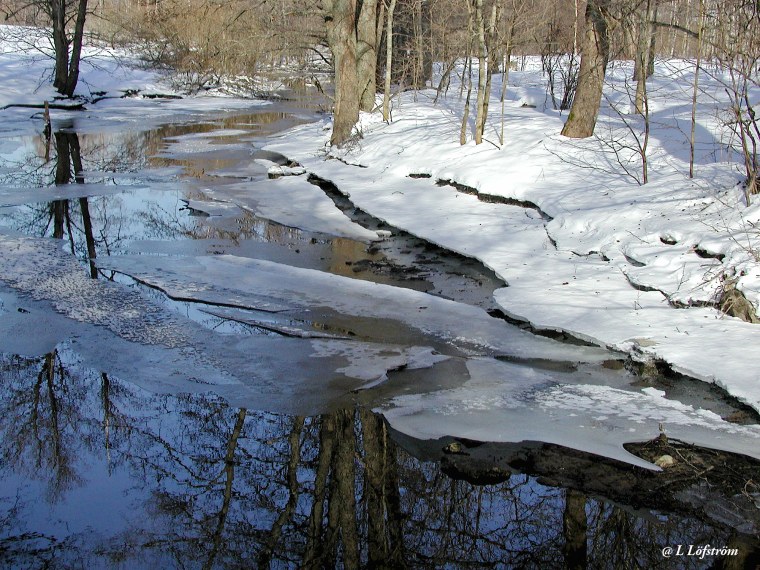 Художник Ходюков Александр Дмитриевич