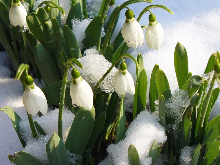 Станислав Брусилов весенний пейзаж художник