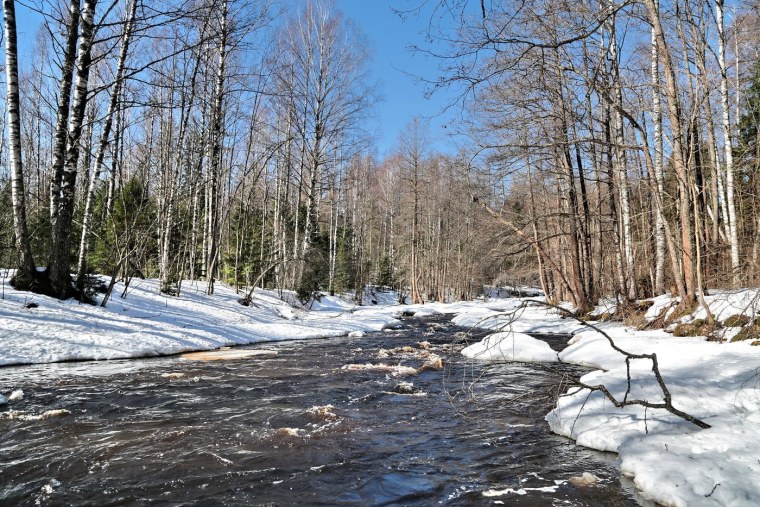 Природа ранней весной