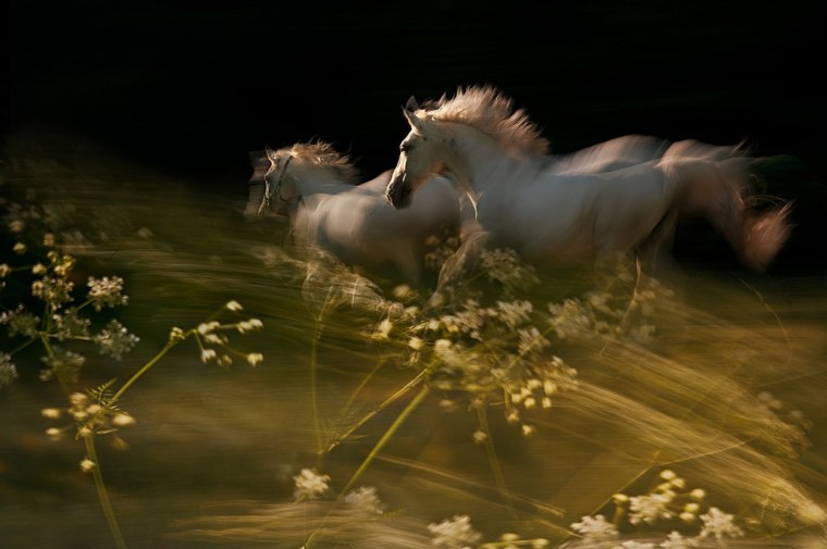 Спирит 2 игрушки