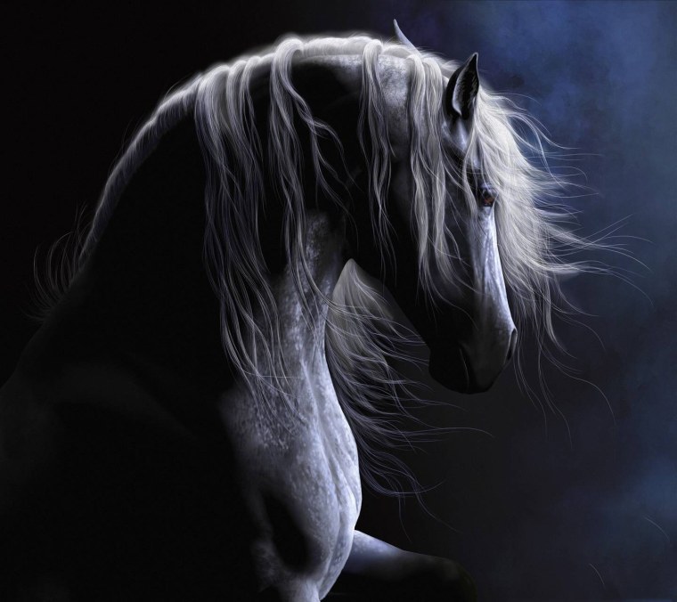 Эдвард Майбридж. Лошадь в движении. 1878 Год