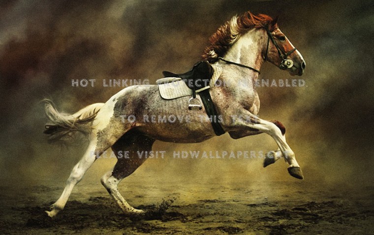 Тыгдынский конь