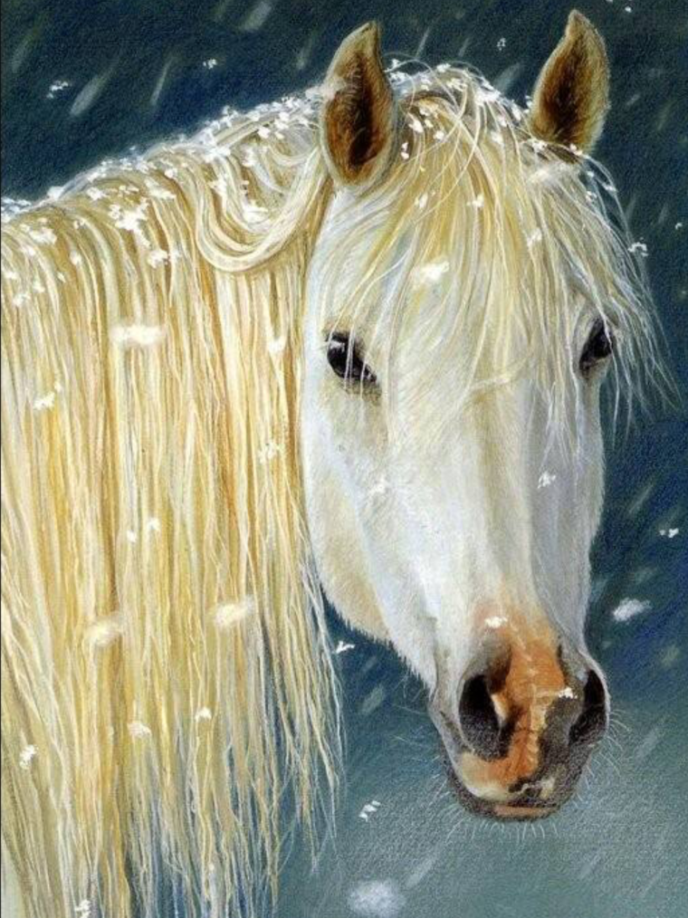 Живые лошади