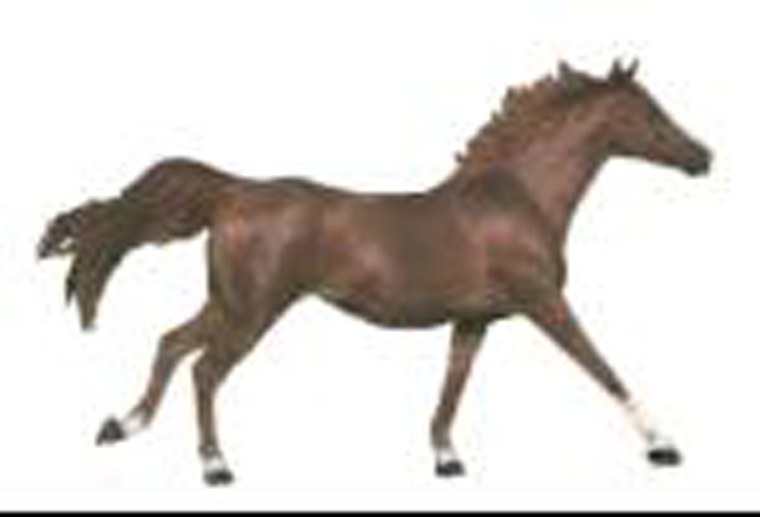 Лошадь бежит