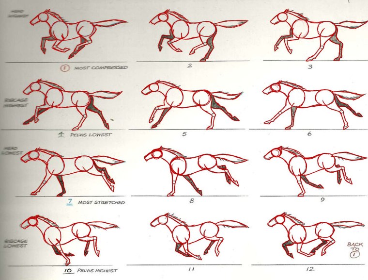 Эдвард мейбридж движение лошади