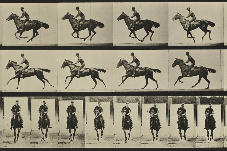 Сверкающая лошадь