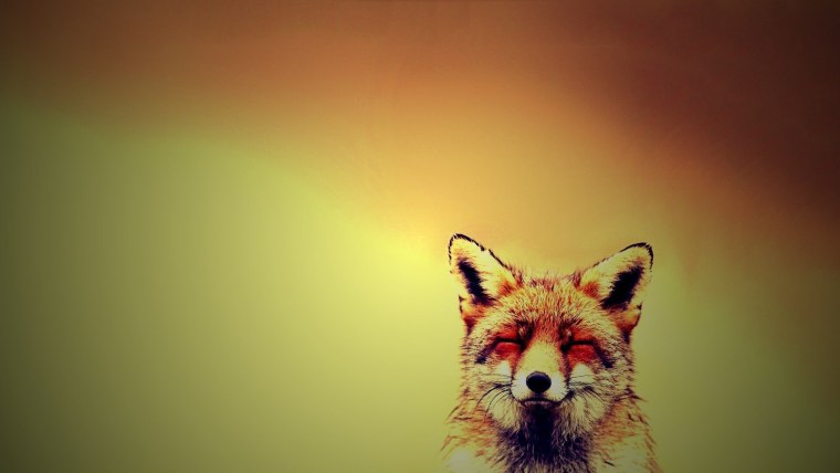 Обои на рабочий стол лиса