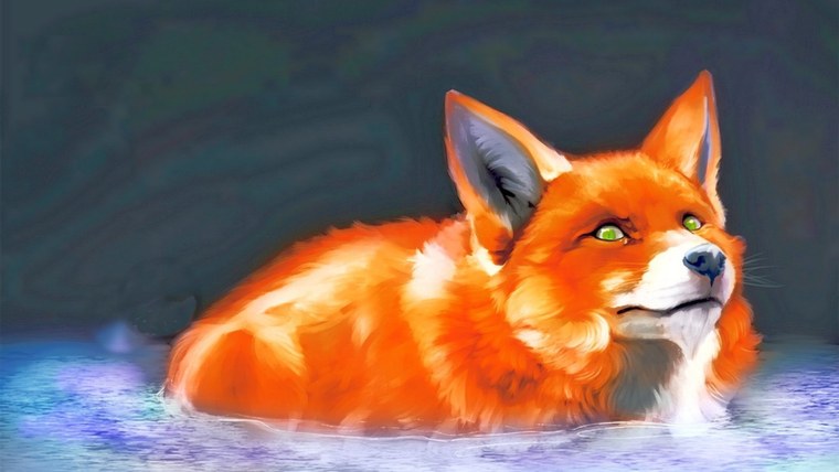 Красивые лисы