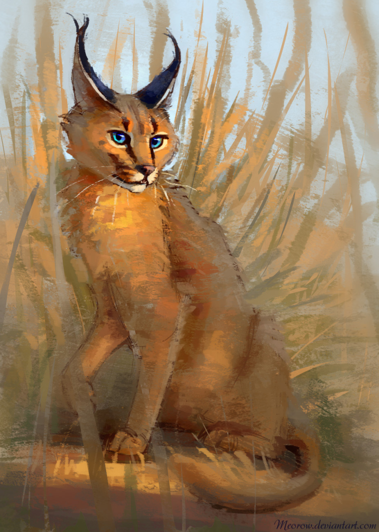 Каракал Гоша аниме