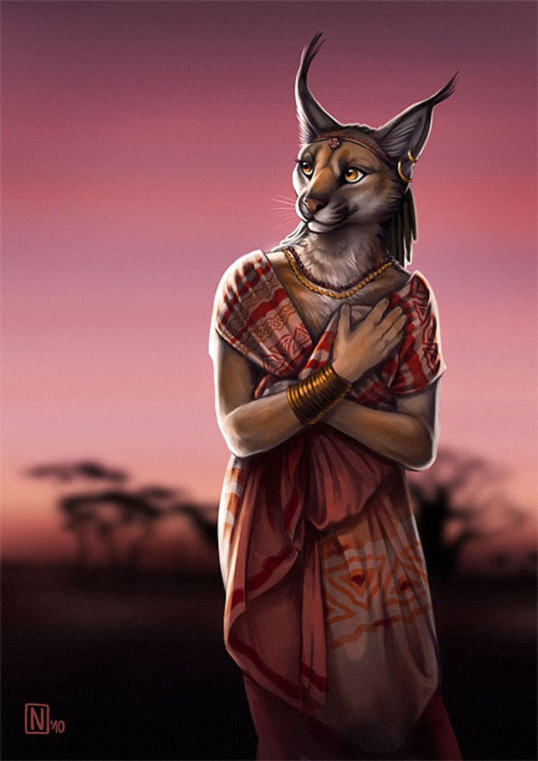 Каракул Шлепа