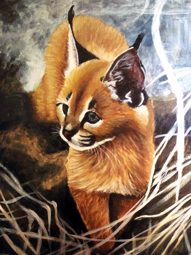 WILDCRAFT каракал