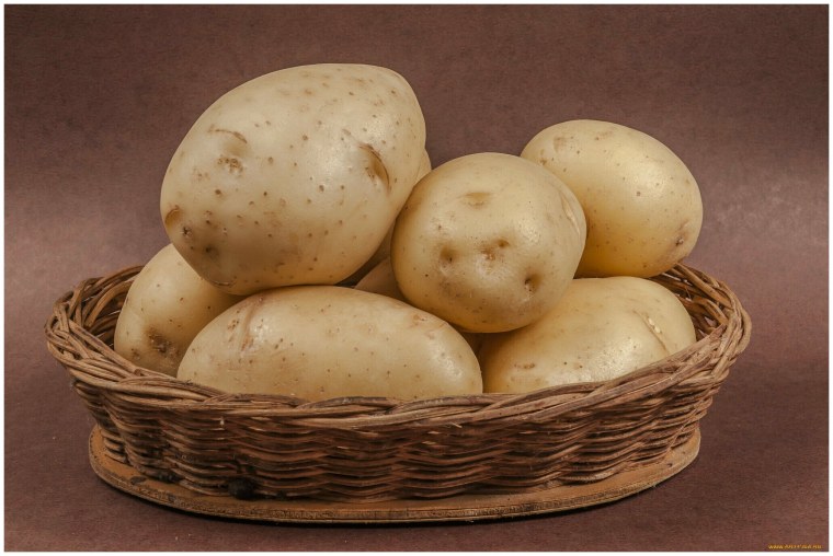 Картофель один