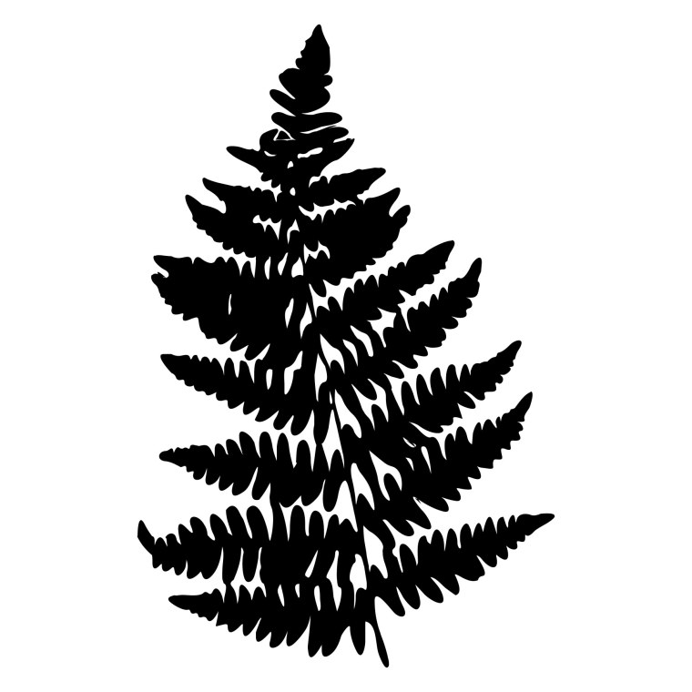 Папоротник силуэт