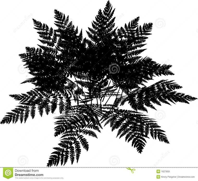 Папоротник силуэт