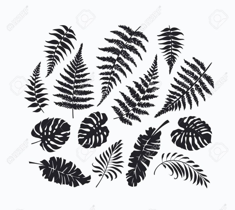 Лист папоротника чб