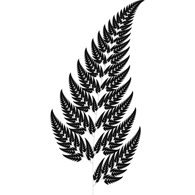 Папоротник Барнсли