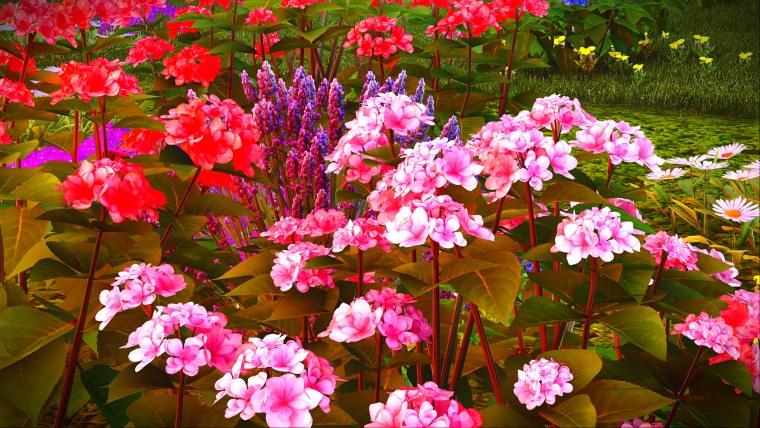 Флоксы обои