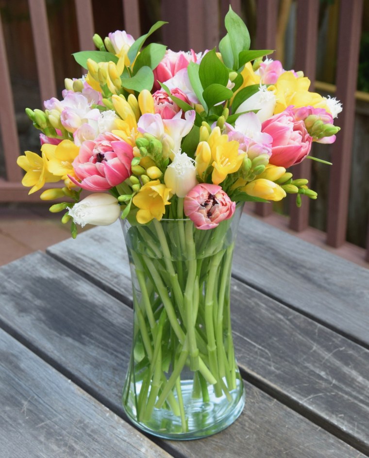 Фрезия нарциссы