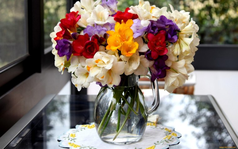 Фрезии цветы