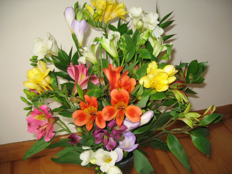 Фрезия энкель микс