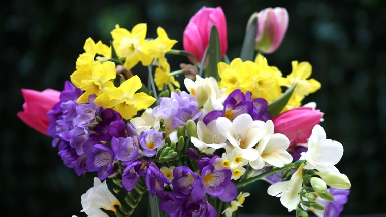 Весенние цветы фрезия