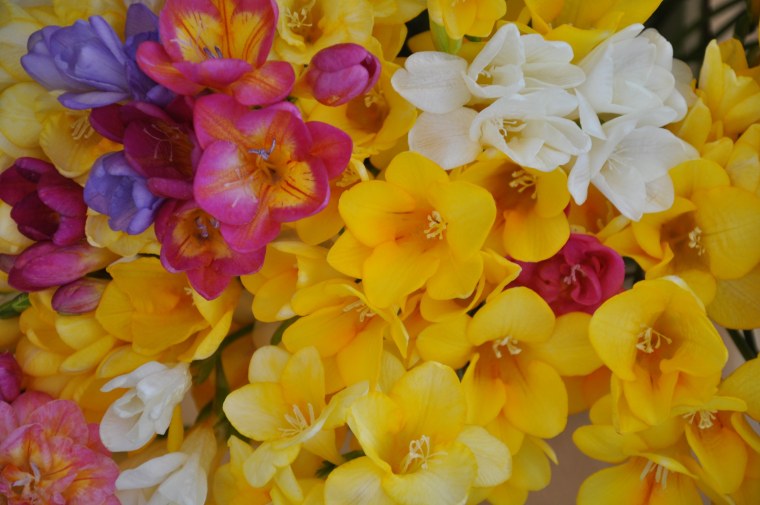 Фрезия гибридная махровая