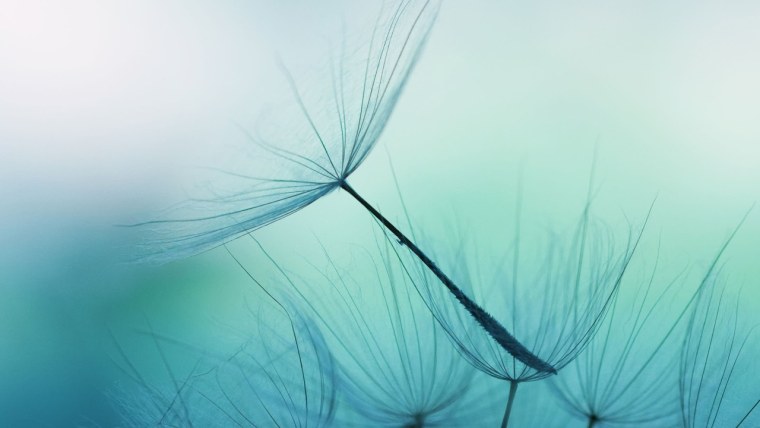 Mash градиент