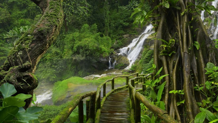 Джунгли водопад Таиланд