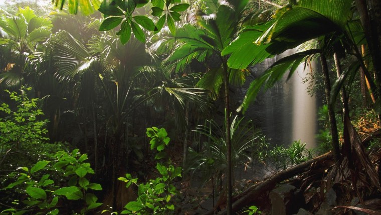 Амазонские джунгли тропический водопад